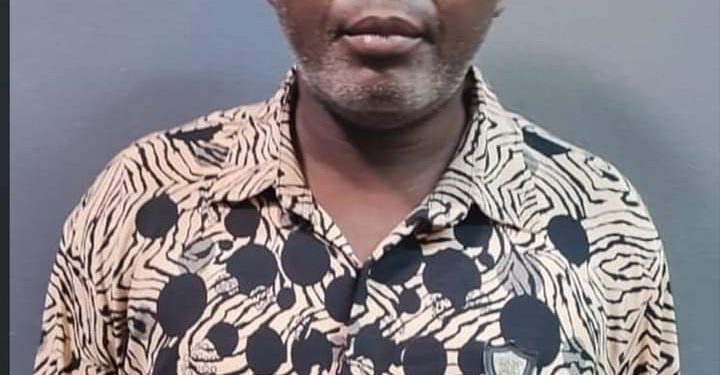 Wanted Drug Baron, Ademola Kazeem, Held As NDLEA Nabs Lady Linked To Pakistani Cocaine Syndicate