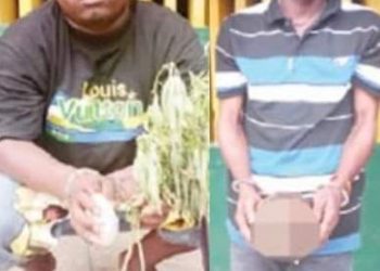 Herbalist, Yahoo Boy Caught With Human Parts In Delta