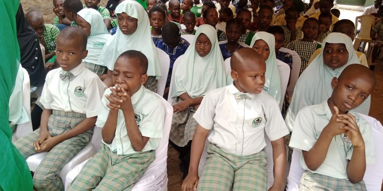 Ogun To De-Worm One Million School Children, Trains 400 Health Workers, Others To Meet Target