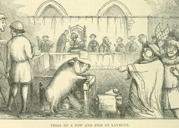 If Animals Are Persons, Should They Bear Criminal Responsibility?