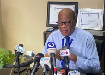 EFCC Shouldn’t Be In Existence, Agbakoba Tells Nigerian Govt, Says Police Already Performing Role