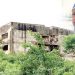 Amosun, Not Abiodun, Abandoned N27bn White Elephant Project Called Model Schools – Ogun Govt