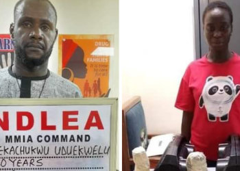 NDLEA Arrests Pregnant Woman, School Teacher, Others Over 2 Tons Of Drugs