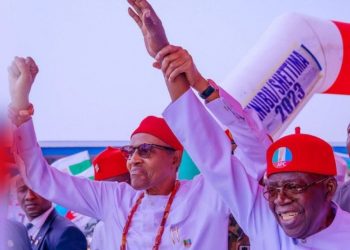 I’ll Work Hard For Nigeria If Elected President – Tinubu
