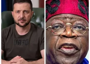 Ukraine To Strengthen Bilateral Cooperation With Nigeria As Zelenskyy Seeks Tinubu’s Visit 