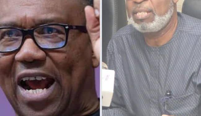 Chidi Amuta, Peter Obi And The ‘Obidients’ Thriving Tyranny