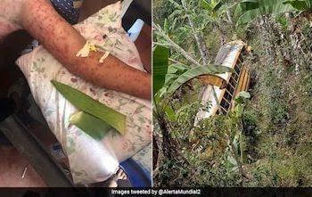 ‘Killer Bees’ Stings 6 Passengers To Death After Bus Plunges Into Hives