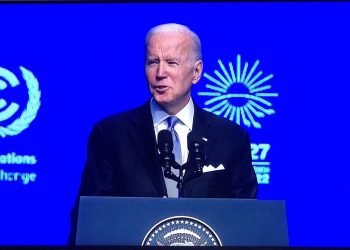 Biden to Tinubu: I’ll Work With You