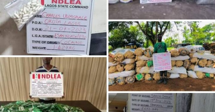 NDLEA Arrests Drug Lord While Giving Mule 93 Cocaine Wraps To Swallow In Lagos Hotel