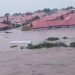 Flooding: Minimize Use Of Interlocking Bricks, Create Green Areas In Homes, NEMA Tells Nigerians