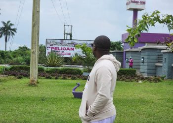 Why We Earmarked N10m For Tree Planting In Our Estates – Pelican Valley CEO 