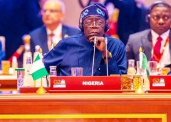 Nigeria Ready To Play Vital Role In G – 20, President Tinubu Tells World Leaders
