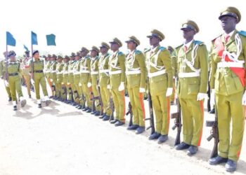 Marwa to NDLEA Officers: Stand Firm, Resist Temptations From Drug Cartels