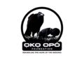 Oko Opo Foundation: Adding Value To People’s Life Is Best Way To Sustain One’s Wealth – Realtor Adeyemo 
