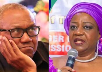 Go Home Peter, You Will Never Be Declared President Of Nigeria – Lauretta Onochie
