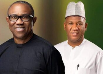 Obi Taken By Mass Hysteria Of His Vociferous Netizens,  Fringe Supporters – APC 