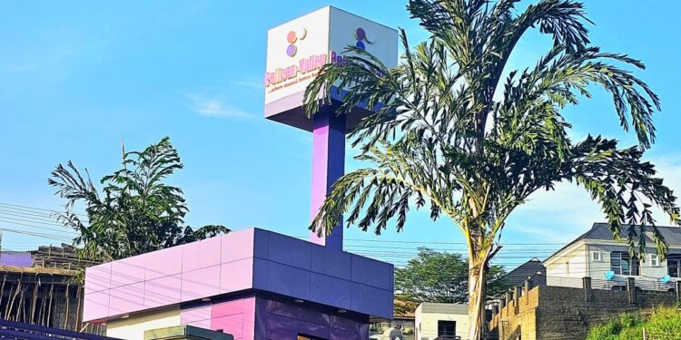 Real Estate Awards: City People Honours Pelican Valley CEO November 12