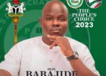 Appeal Court Sacks Ogun PDP Lawmaker