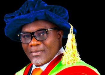 Food Security: FUNAAB Don Urges Wealthy Nigerians To Invest In Agriculture 