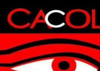Off-cycle Polls: Kogi Outcome Highly Credible, Says CACOL