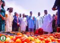 Tinubu Inaugurates 620 Metric Tonnes Capacity Tomato Processing Factory In Kebbi