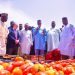 Tinubu Inaugurates 620 Metric Tonnes Capacity Tomato Processing Factory In Kebbi