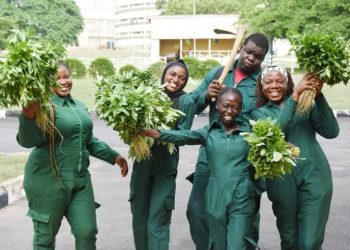 From Land To Table: The Journey Of Vegetables In COBFAS