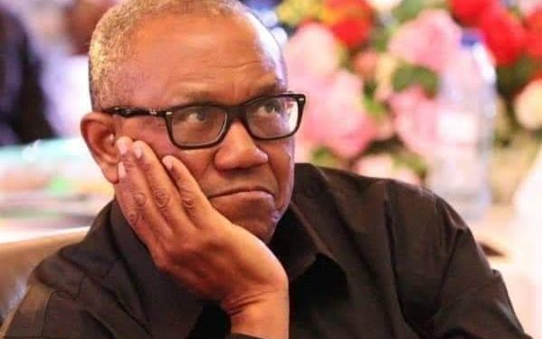 Ningi:  Why LP Senators Aligned With Senate’s Decision, Not Peter Obi – Reno Omokri