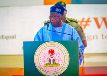 Your Investments Are Safe, Tinubu Assures Chinese Executives