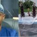 Ileya: OGHA Minority Leader, Lukman Adeleye To Illuminate Constuency, Donates 500Kva Transformer