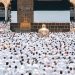 Eid-el-Adha: Pelican Valley Felicitates Muslims