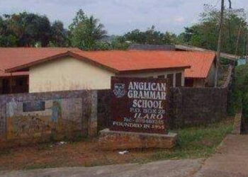 Senator Adeola’s ICT Project Shoots Ilaro School To Global Limelight 