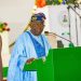 Tinubu’s Bragging Right And 200 Needles