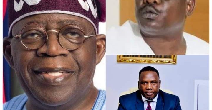 Ali Ndume, The Rant Of An Expert In Grandstanding 