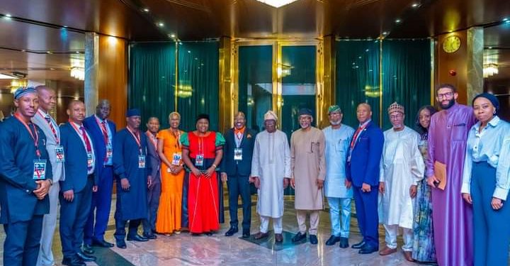 Combat Illegal Exploitation Of Continent’s Natural Wealth, Tinubu Urges African Leaders