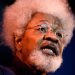 Soyinka Condemns Police’s Action On Protesters, Says ‘Hunger Marches A universal S.O.S’