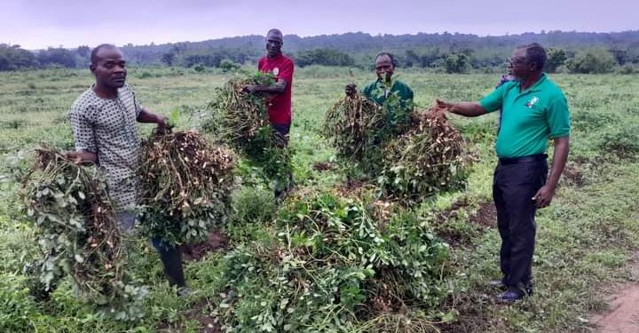 Ex – NLC Boss, Bankole Returns To the Farm, Identifies Issues Fuelling Nigeria’s Food Inflation