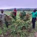 Ex – NLC Boss, Bankole Returns To the Farm, Identifies Issues Fuelling Nigeria’s Food Inflation