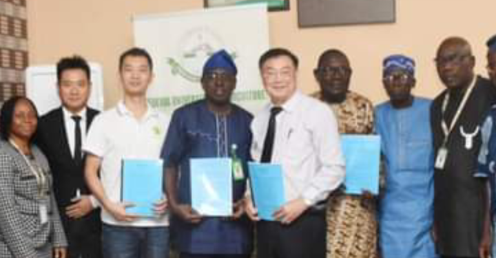 FUNAAB, HBUT, Others Move To Boost Soybean, Sorghum Cultivation
