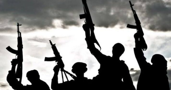 Gunmen Attack Villagers In Imo, Kîll 8, Injure Others