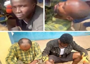 Police Arrest Boy For Stealing Artefacts Worth N500m From Esama Of Benin, Gabriel Igbinedion
