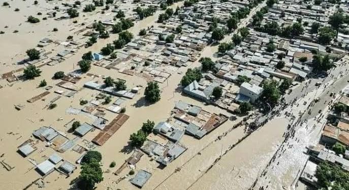 Devastating Flood: Probe Spending Of Billions Of Ecological Funds By Borno Govt – SERAP Tells Tinubu