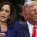 Looming Conundrum In Preparation for the US Elections: Confirmation Of the Universalisation Of Political Violence