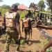 Many Feared Dead As Soldiers, Unknown Gunmen Clash At Military Checkpoint In Abia