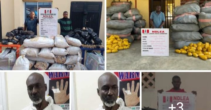 After 35 Yrs In Brazil, Bizman Returns Home With 700G Of Cocaine Buried In His Stomach
