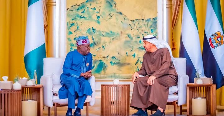 UAE President To Visit Nigeria This Year, Mulls Attracting Investments 