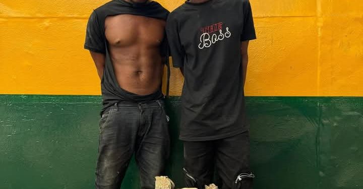 Police Arrest Two More Suspects Over Abduction Of Retired AIG Odumosu’s Wife