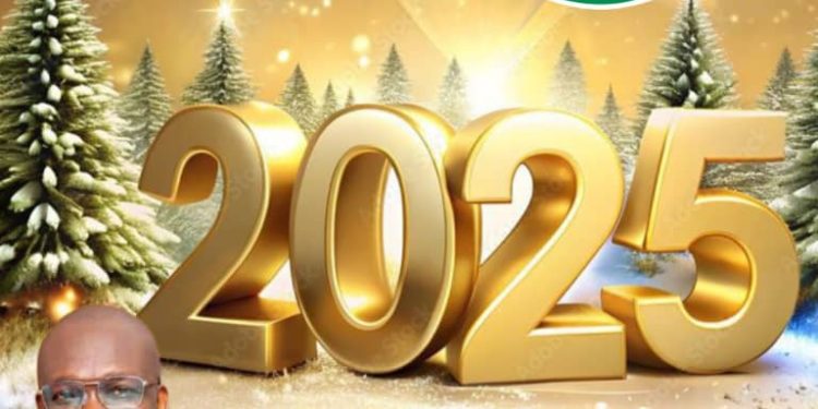 Keep Demanding Credible Leadership, Hold  Political Office Holders Accountable, Toyin Amuzu Urges Nigerians In New Year 