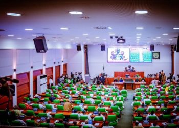 Reps Committee Proposes Creation Of Ijebu, Warri, Lagoon, Okun, Orlu, 26 Other New States
