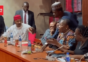 You’re a fool,’ ‘You’re a hooligan,’ Sen Nwaebonyi, Ezekwesili In War Of Insults at Senate Hearing
